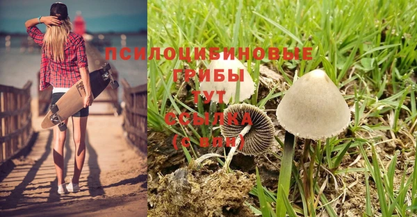 2c-b Нефтегорск
