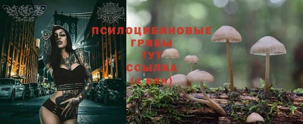 MDMA Premium VHQ Нея