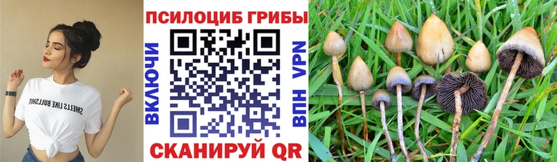 Галлюциногенные грибы ЛСД Купить где Зеленокумск
